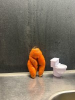 Karotte und Klo