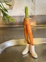 Karotte in weissen Stiefeln