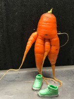 Karotte und Turnschuhe